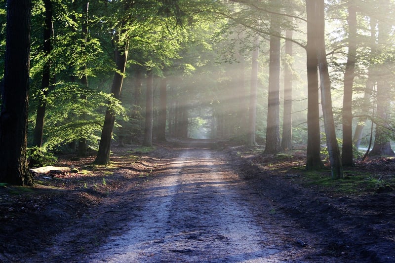 Hidden trails